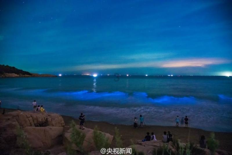 逗小猴开心系列209